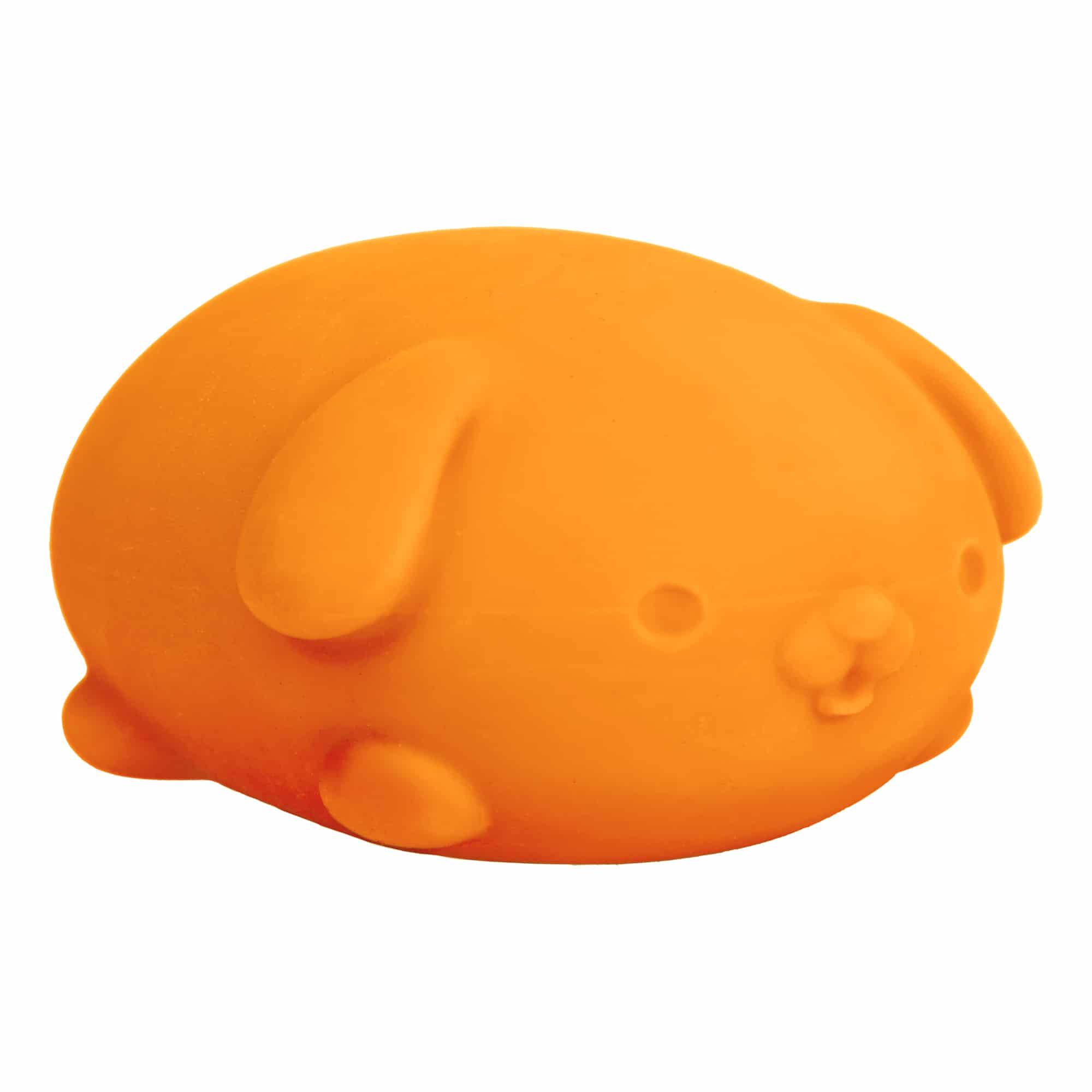 Cute Collectible NeeDoh Funky Pup | Collection Canyon Shore - Dino Character Malt-Gel Filled Sensory Glob Detail