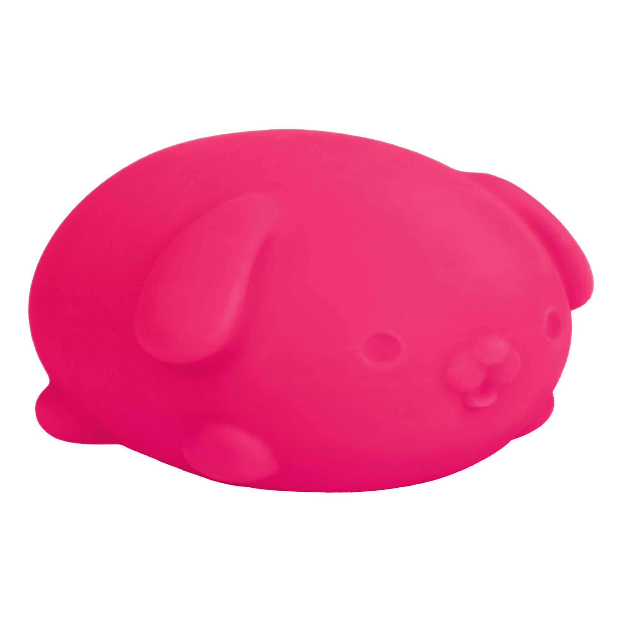 Cute Collectible NeeDoh Funky Pup | Collection Canyon Shore - Dino Character Malt-Gel Filled Sensory Glob Detail