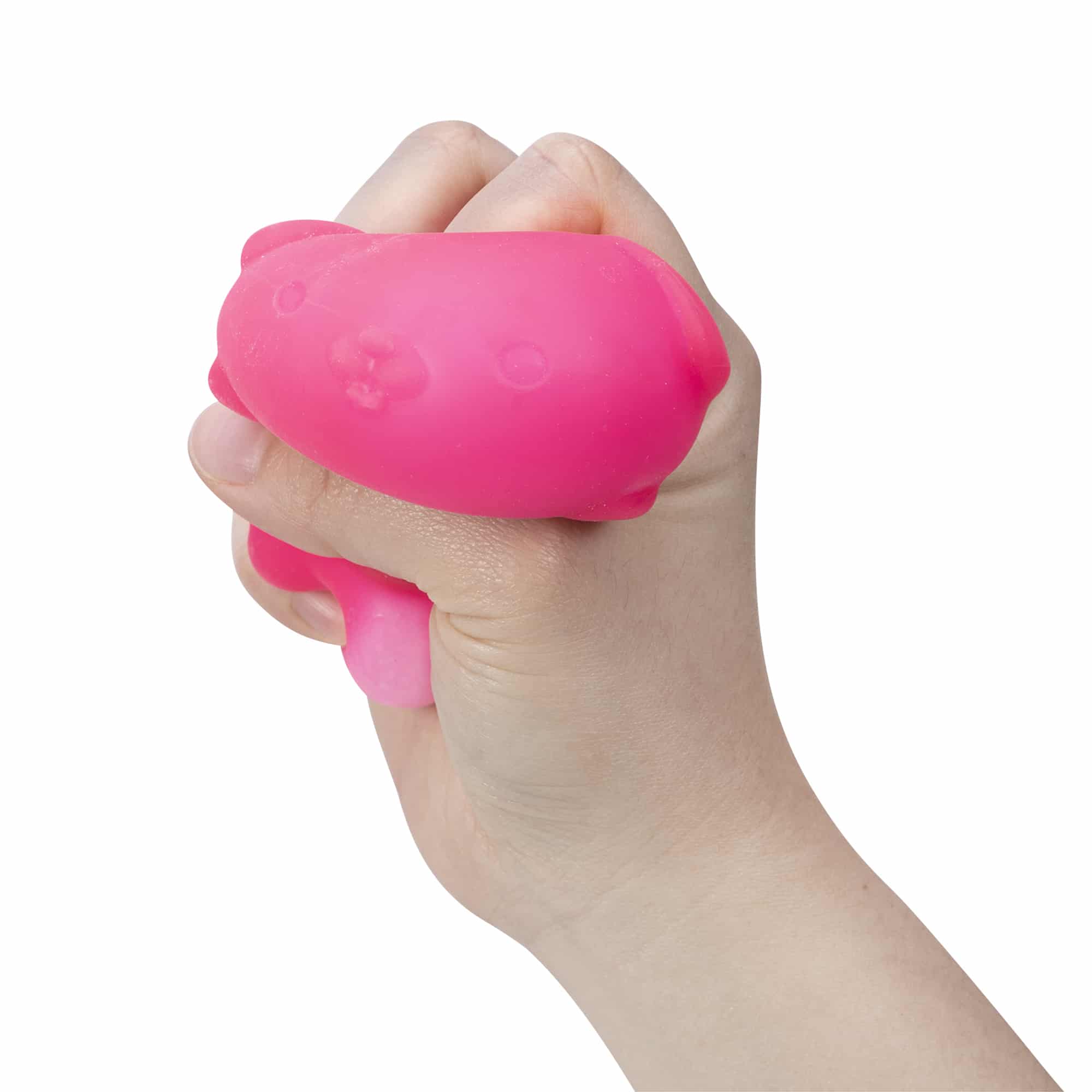 Cute Collectible NeeDoh Funky Pup | Collection Canyon Shore - Dino Character Malt-Gel Filled Sensory Glob Detail