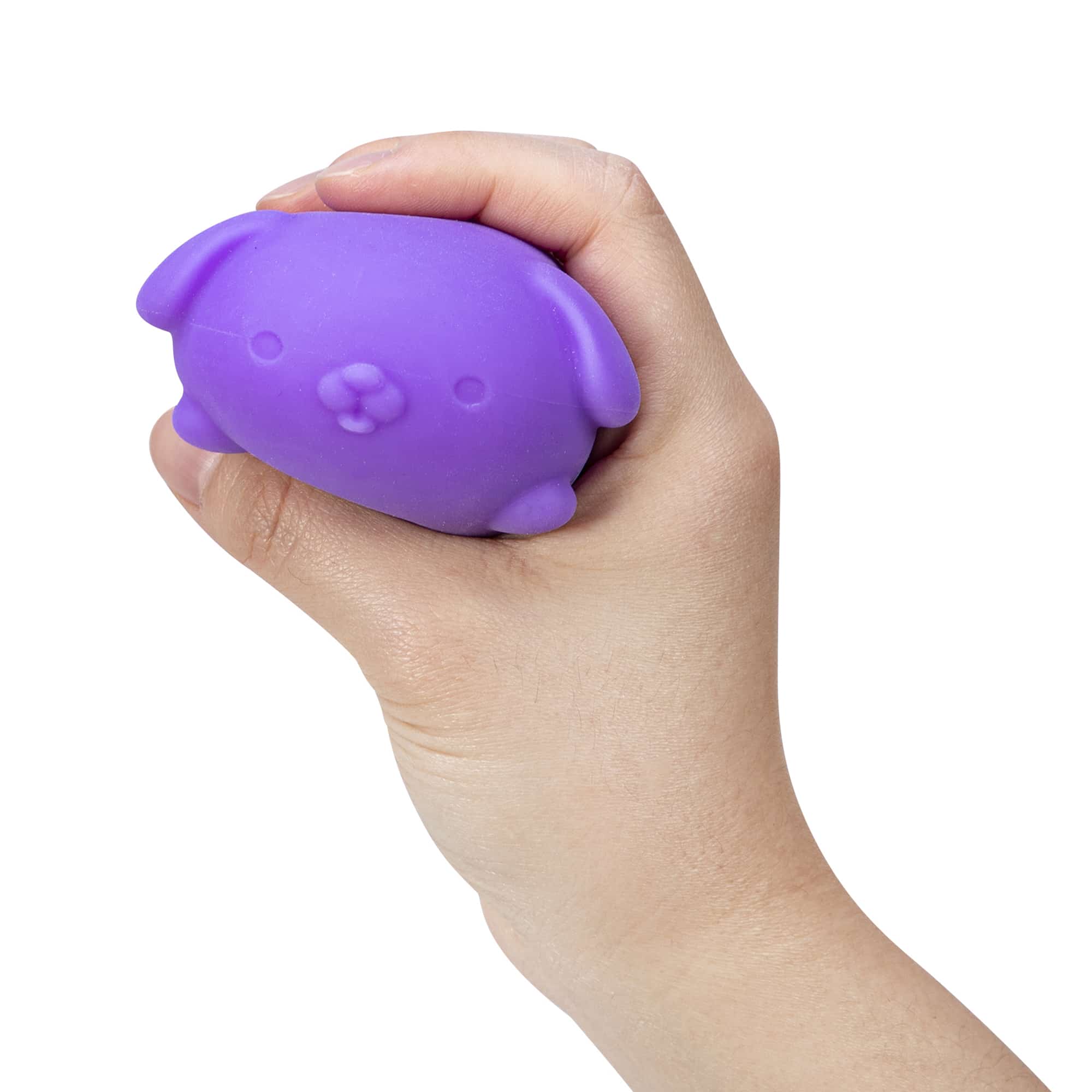 Cute Collectible NeeDoh Funky Pup | Collection Canyon Shore - Dino Character Malt-Gel Filled Sensory Glob Detail