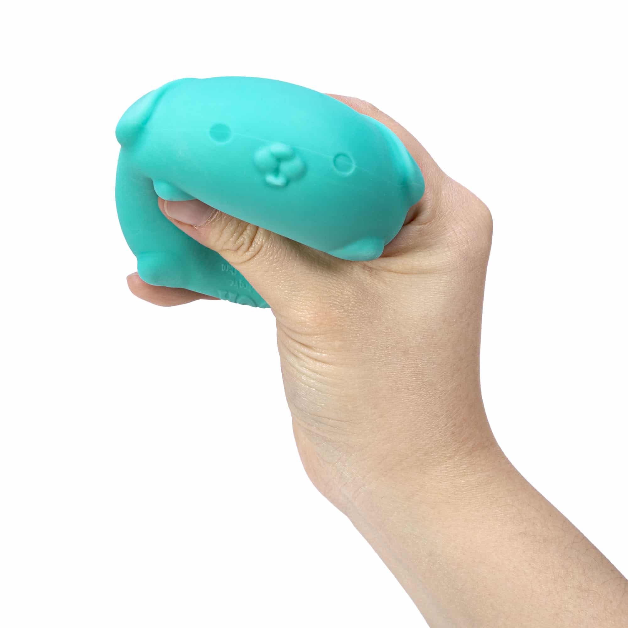 Cute Collectible NeeDoh Funky Pup | Collection Canyon Shore - Dino Character Malt-Gel Filled Sensory Glob Detail